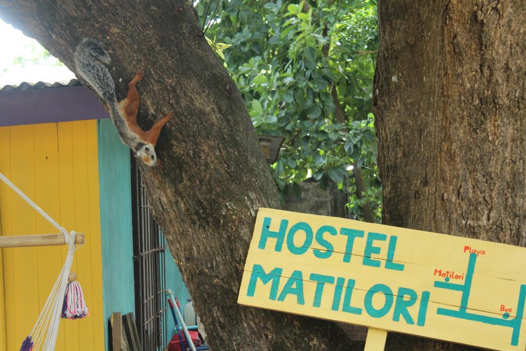 Hostel Matilori Sámara Exterior photo